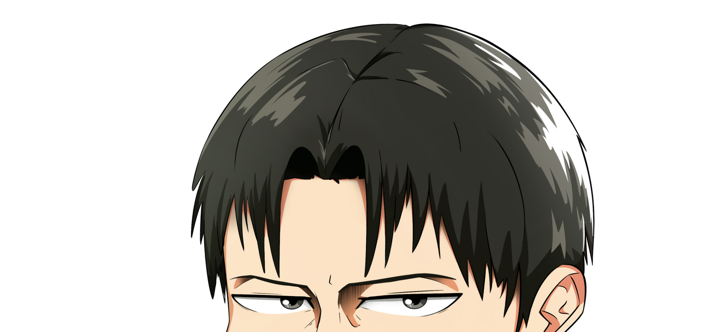 Levi Peeker Decal