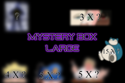 Mystery Box - Large