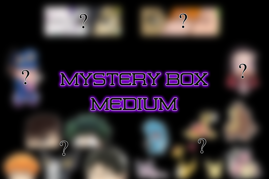 Mystery Box - Medium